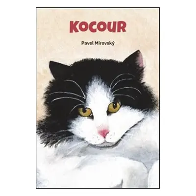 Kocour