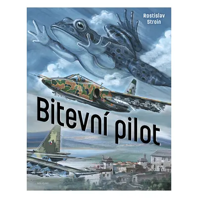 Bitevní pilot