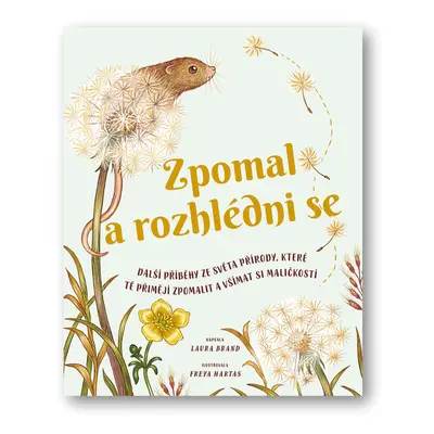 Zpomal a rozhlédni se