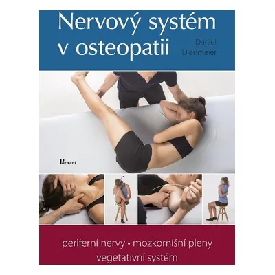 Nervový systém v osteopatii