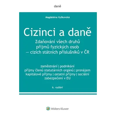 Cizinci a daně