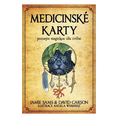 Medicinské karty