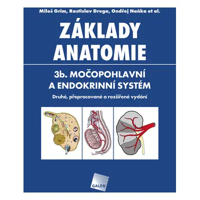 Základy anatomie 3b.