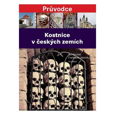 Kostnice v českých zemích