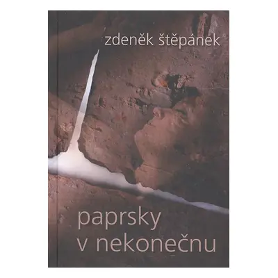 Paprsky v nekonečnu