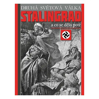 Stalingrad A co se dělo poté