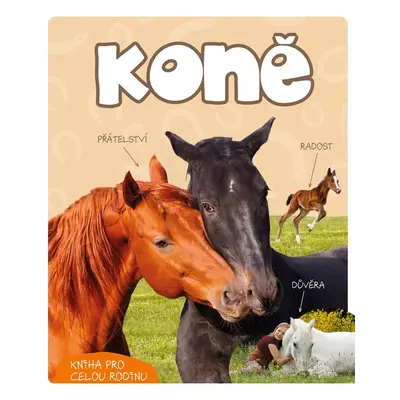 Koně