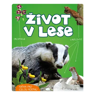 Život v lese