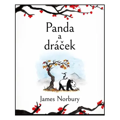 Panda a dráček