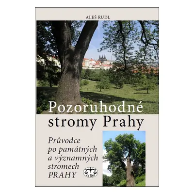 Pozoruhodné stromy Prahy