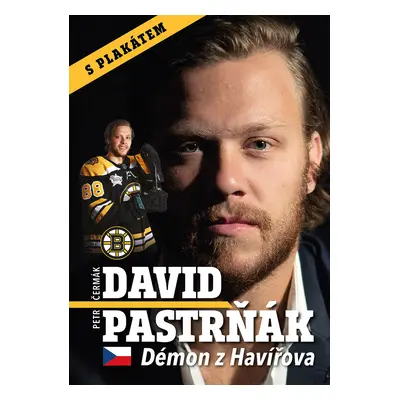 David Pastrňák