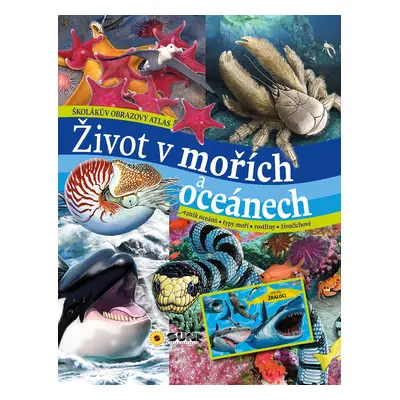 Život v mořích a oceánech