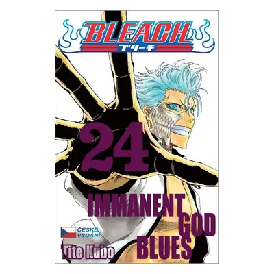 Bleach 24