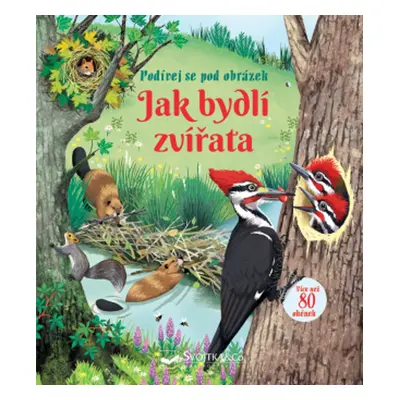 Jak bydlí zvířata