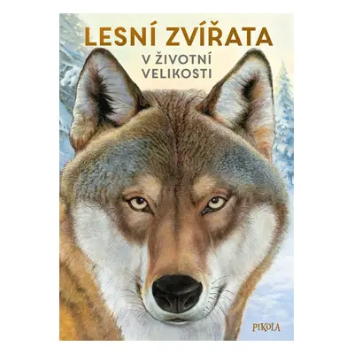 Lesní zvířata v životní velikosti