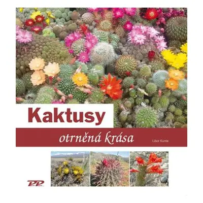 Kaktusy