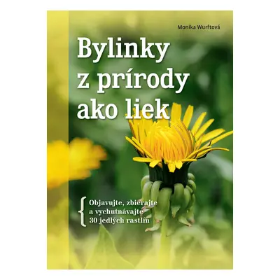 Bylinky z prírody ako liek