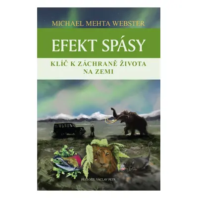 Efekt spásy