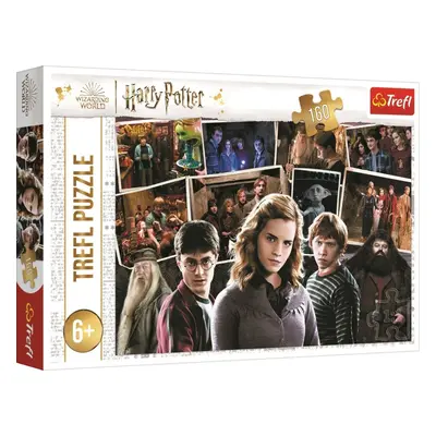 Puzzle Harry Potter s přáteli