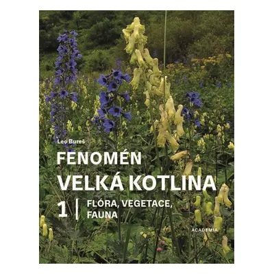 Fenomén Velká kotlina 1