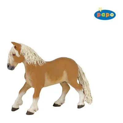 Poník Haflinger