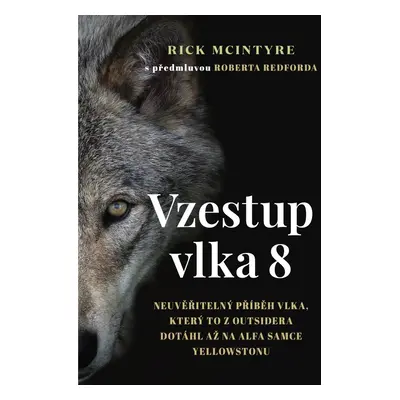 Vzestup vlka 8