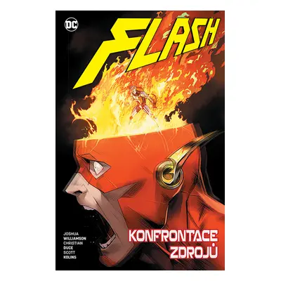 Flash Konfrontace zdrojů (9)