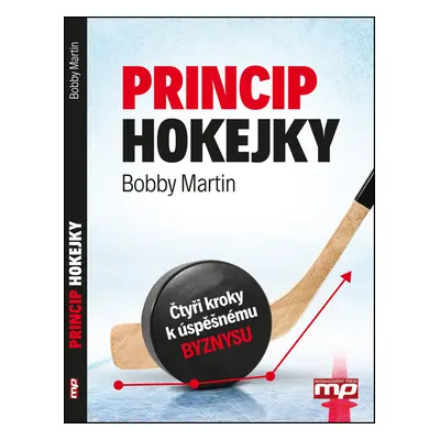 Princip hokejky