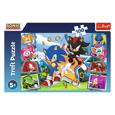 Puzzle Sonic Seznamte se s ježkem 100 dílků