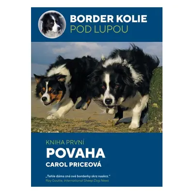 Border kolie pod lupou Povaha