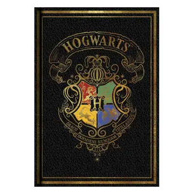 Blok A5 Harry Potter Colourful černý