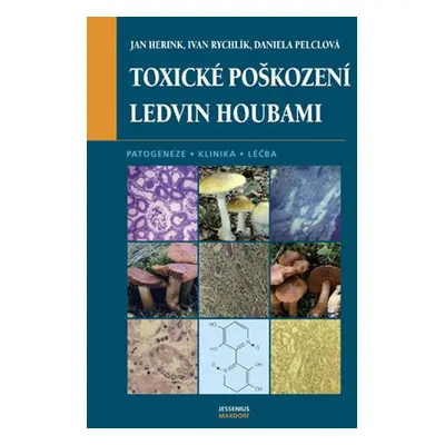 Toxické poškození ledvin houbami