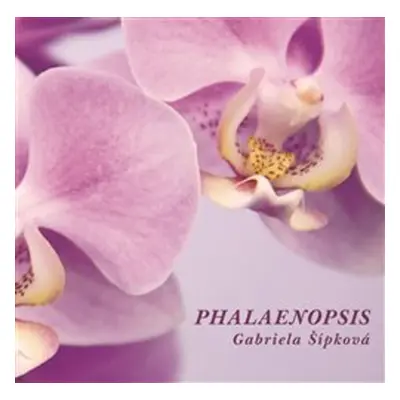 Phalaenopsis