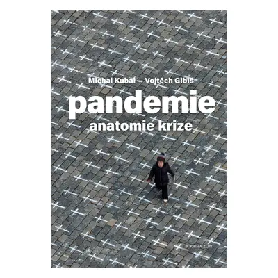 Pandemie Anatomie krize