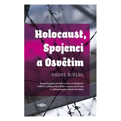 Holocaust, Spojenci a Osvětim