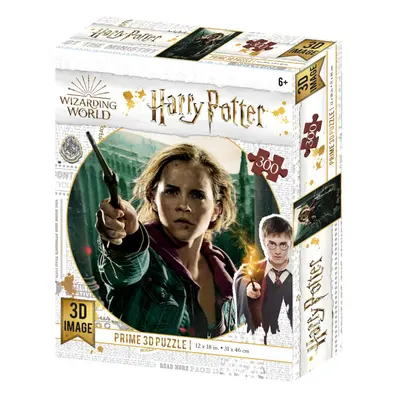 3D PUZZLE Harry Potter Hermiona Granger 300 dílků