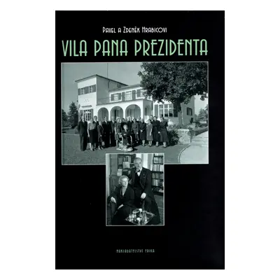 Vila pana prezidenta