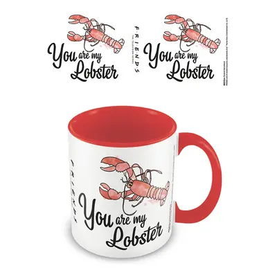 Hrnek Přátelé You are my lobster