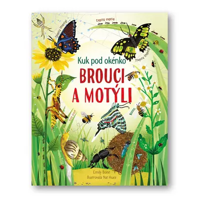 Brouci a motýli