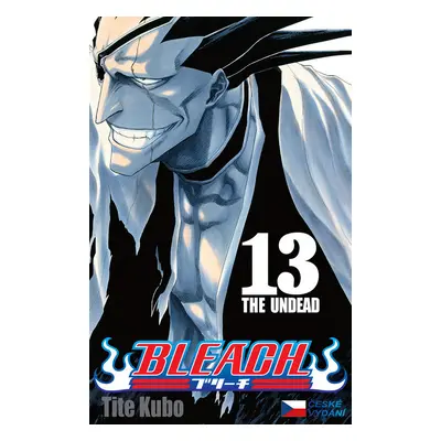 Bleach 13