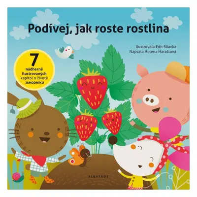 Podívej, jak roste rostlina