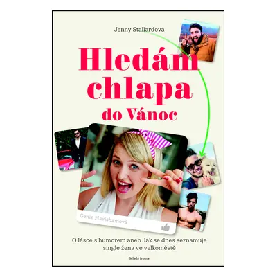 Hledám chlapa do Vánoc