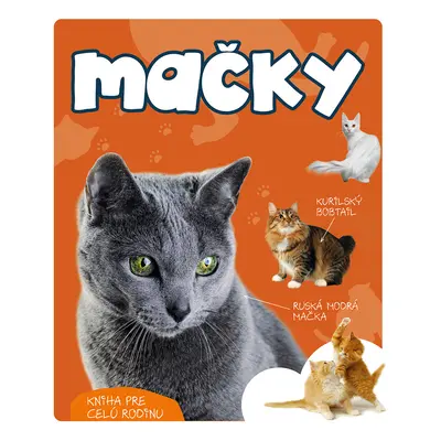 Mačky