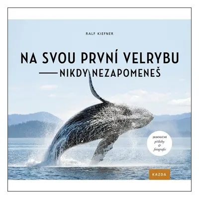 Na svou první velrybu - nikdy nezapomeneš