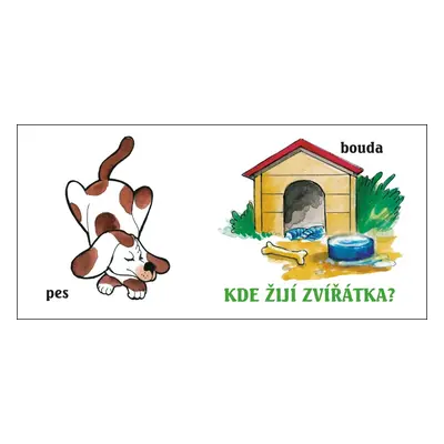 Kde žijí zvířátka?