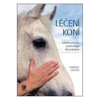 Léčení koní