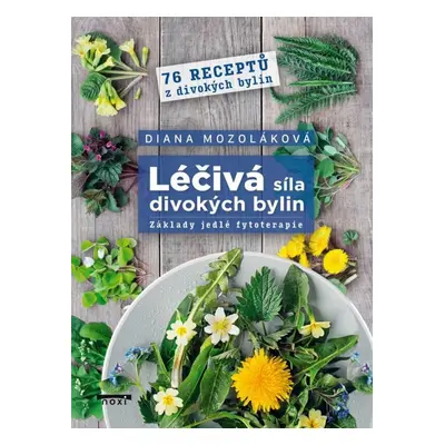 Léčivá síla divokých bylin