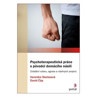 Psychoterapeutická práce s původci domácího násilí