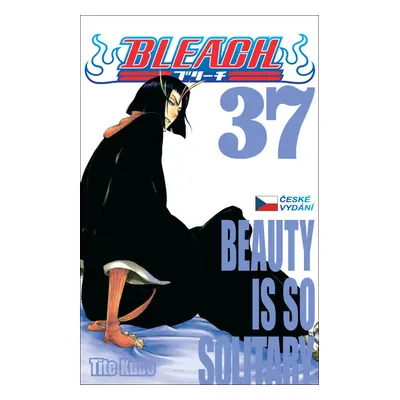 Bleach 37