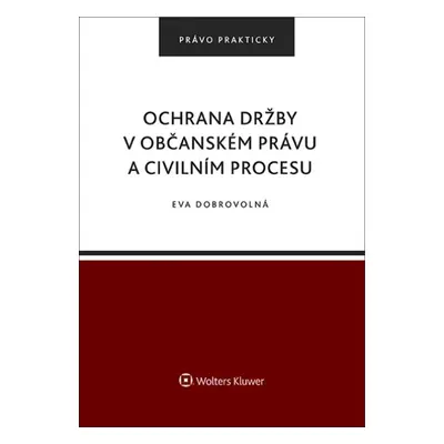 Ochrana držby v občanském právu a civilním procesu